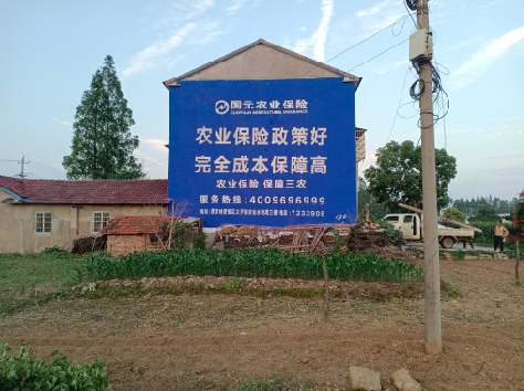 彭泽墙体广告为何受追捧？