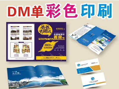 彭泽单页印刷，色彩搭配简单。